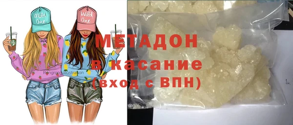 прущие грибы Аркадак