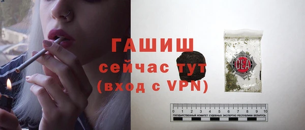 молекула духа Арсеньев