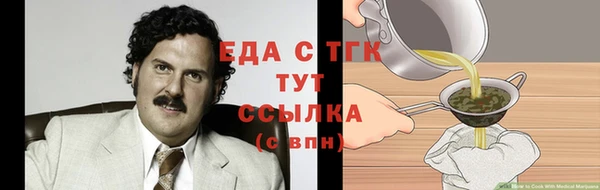 молекула духа Арсеньев
