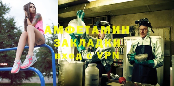 прущие грибы Аркадак