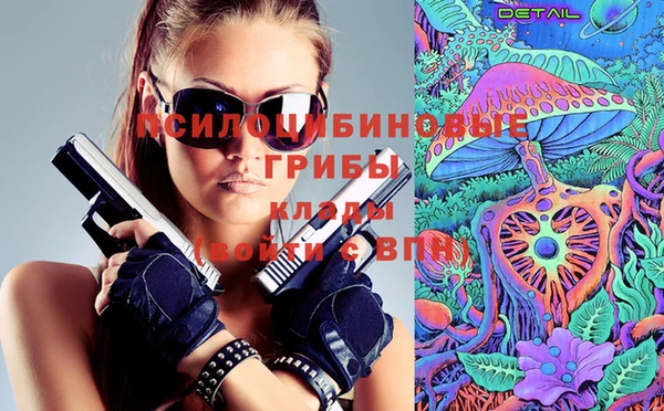 прущие грибы Аркадак
