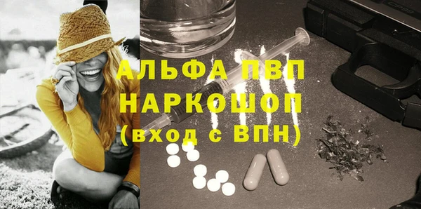 молекула духа Арсеньев