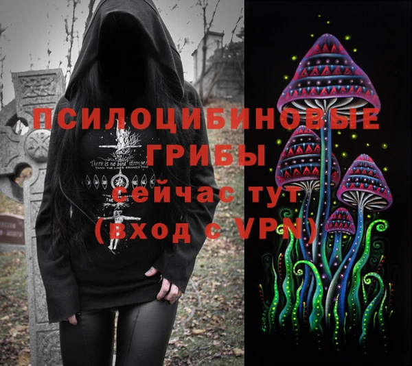 индика Армянск