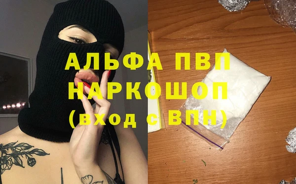 прущие грибы Аркадак