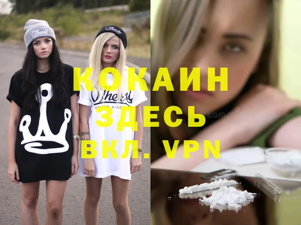 индика Армянск