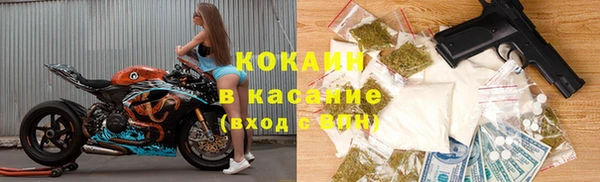 индика Армянск