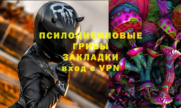 индика Армянск